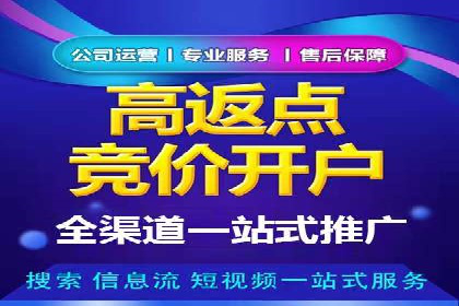 案例剖析：SEM服务助力企业转型